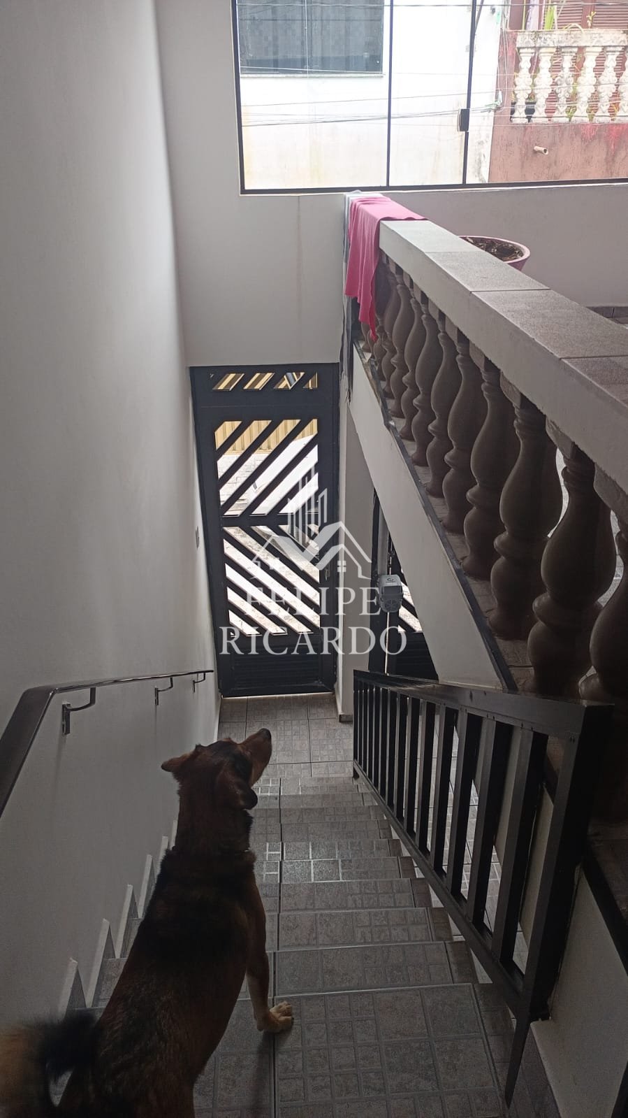 Casa à venda com 2 quartos, 198m² - Foto 2