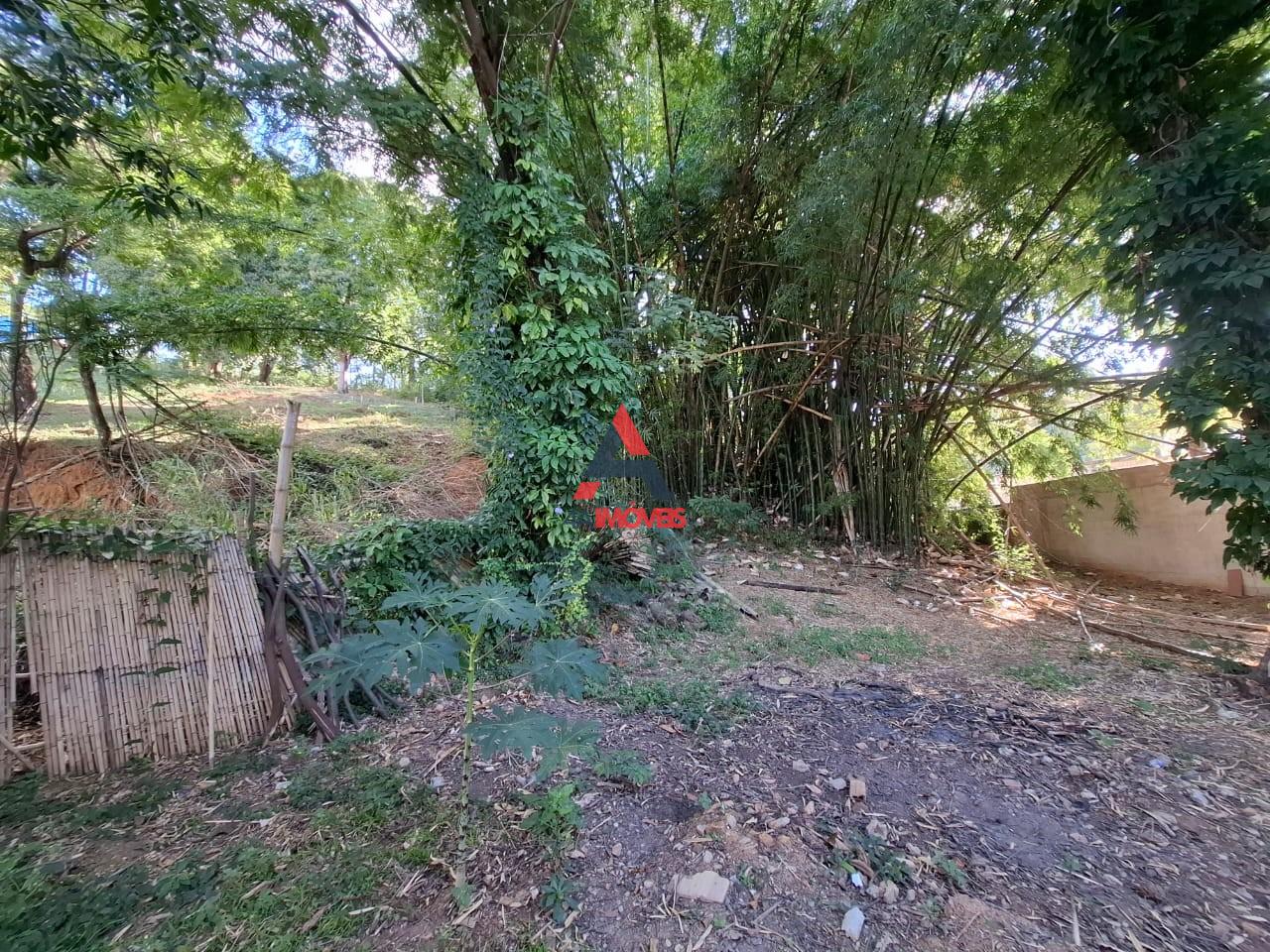 Terreno, 6400 m² - Foto 7