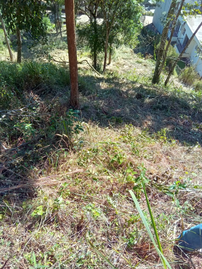 Terreno, 3035 m² - Foto 4