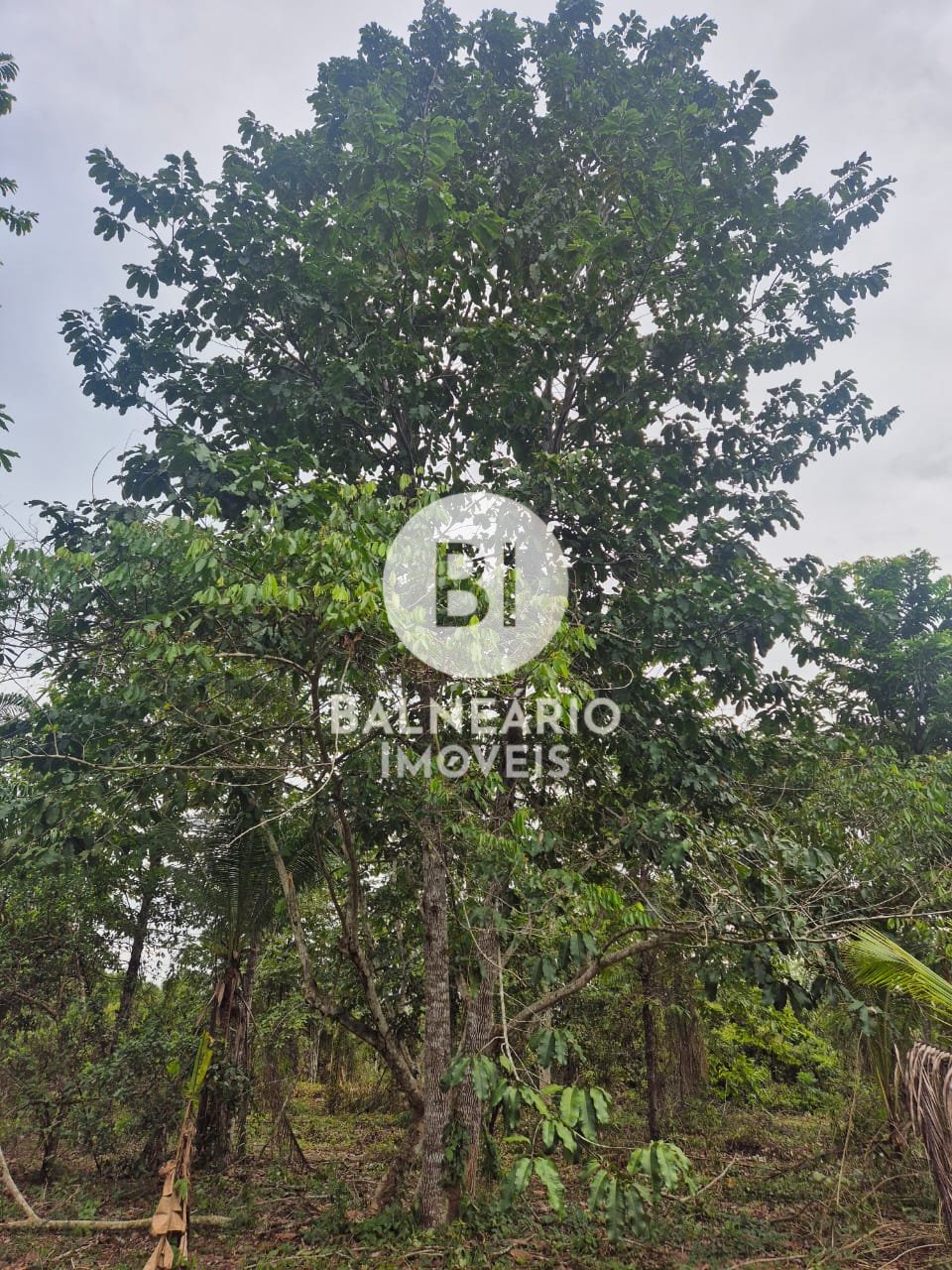 Sítio, 2 quartos - Foto 2