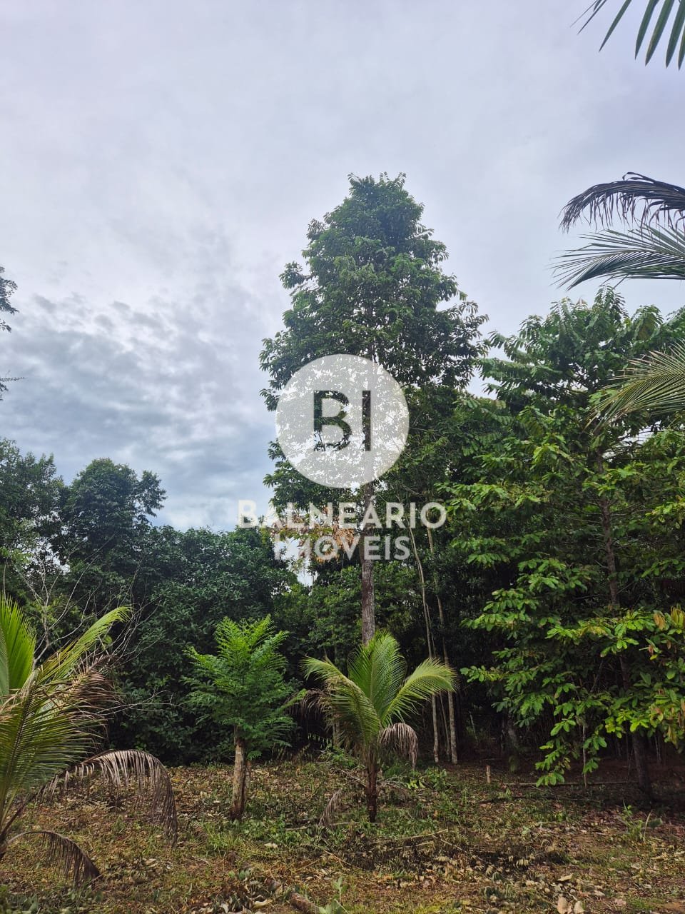 Sítio, 2 quartos - Foto 5