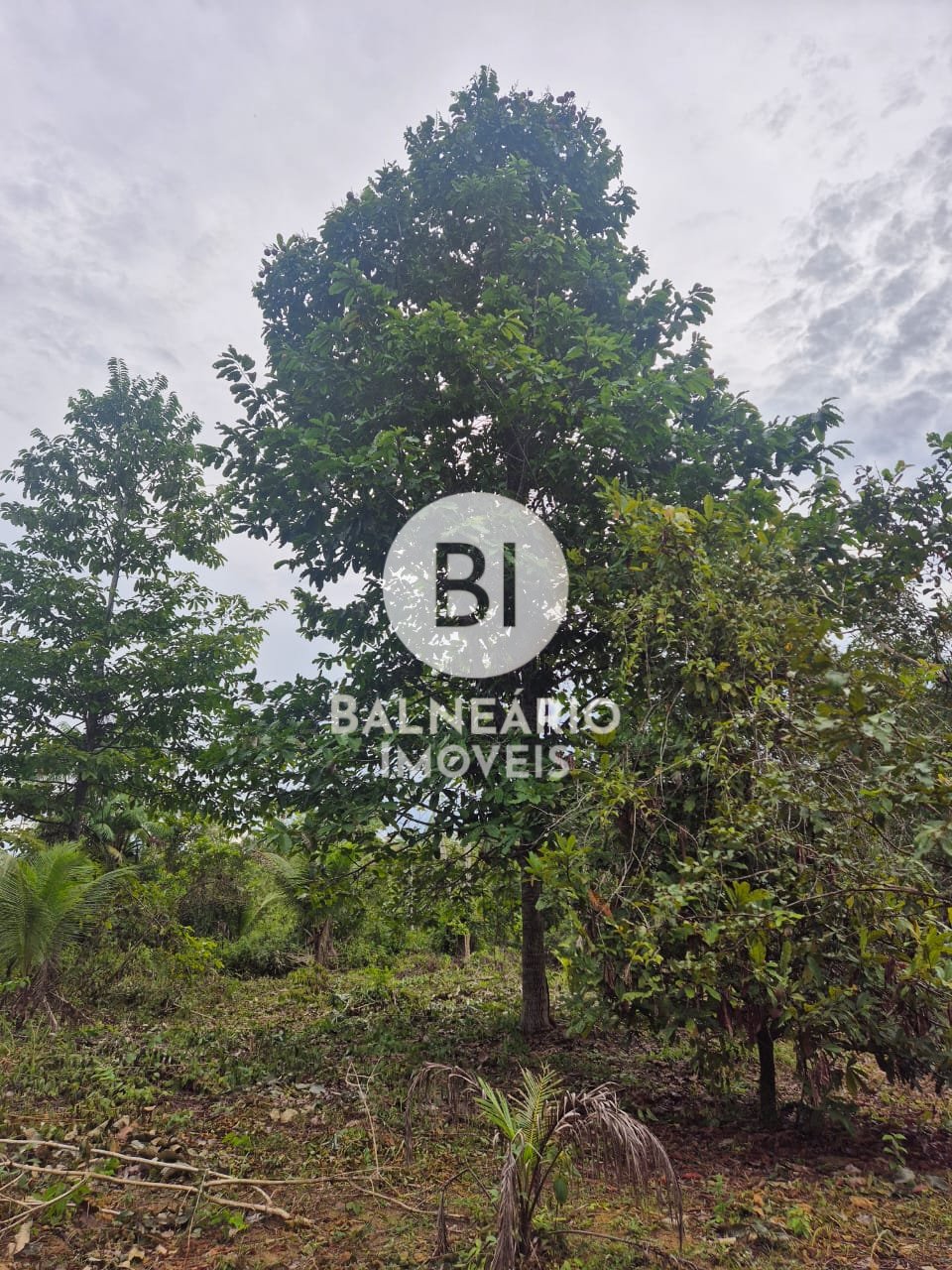 Sítio, 2 quartos - Foto 6