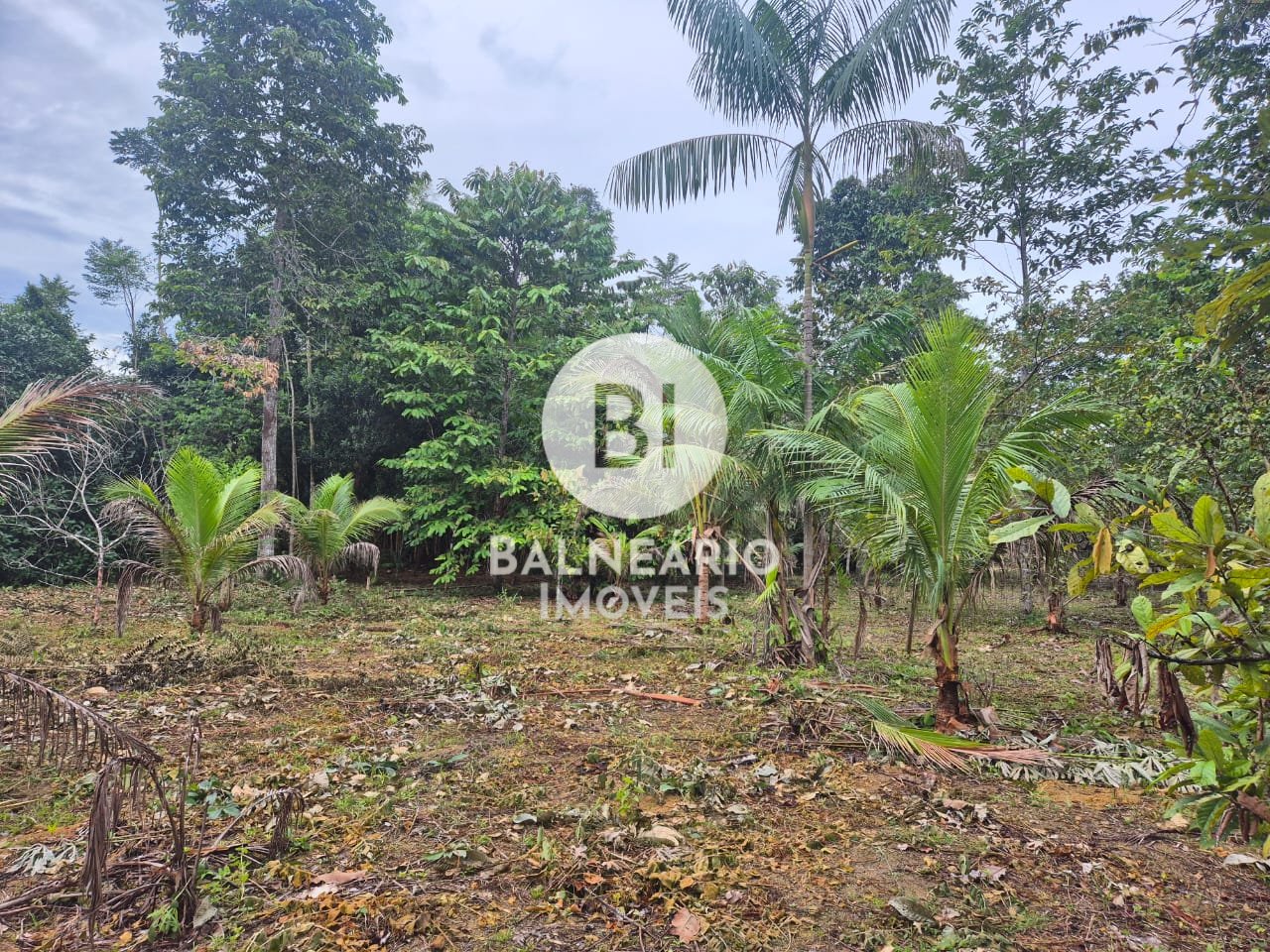 Sítio, 2 quartos - Foto 10