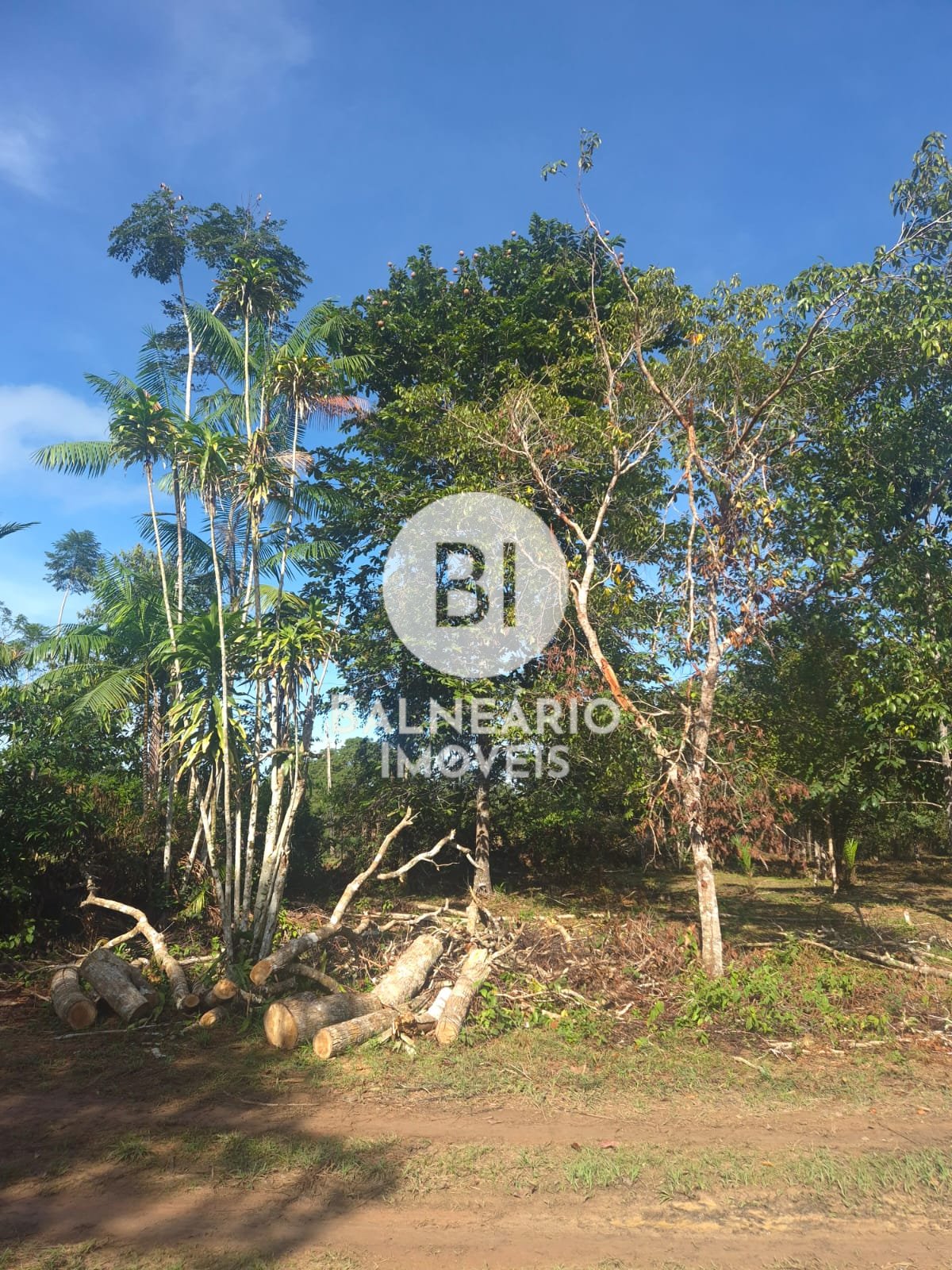 Sítio, 2 quartos - Foto 12