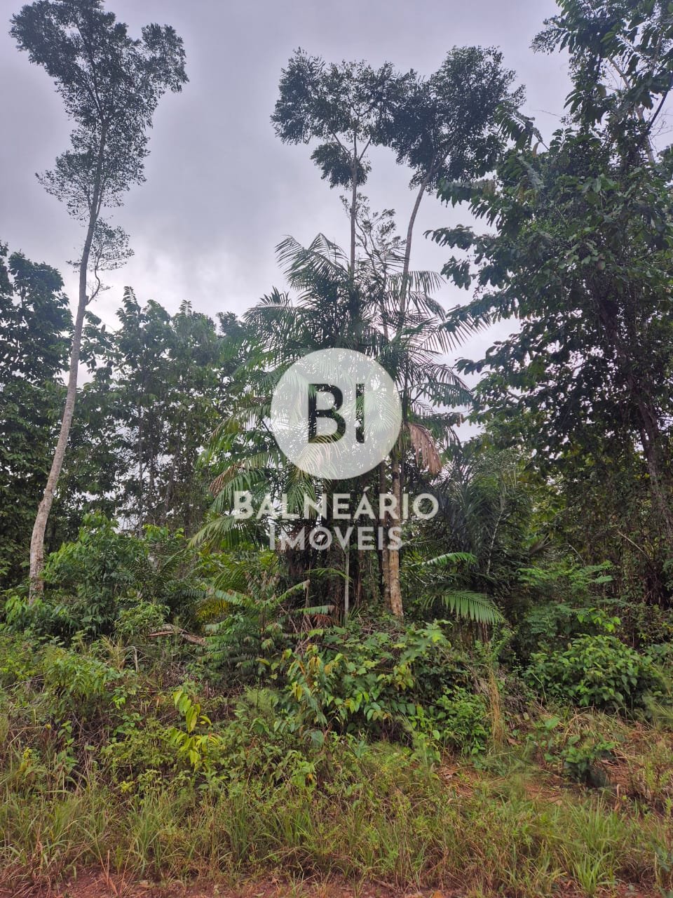 Sítio, 2 quartos - Foto 13