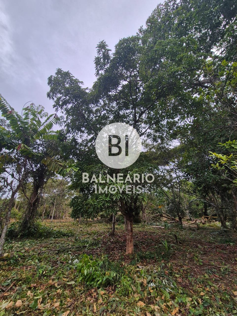 Sítio, 2 quartos - Foto 18