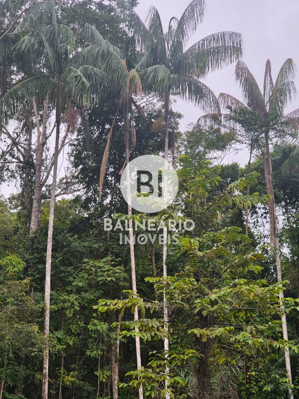 Sítio, 2 quartos - Foto 21