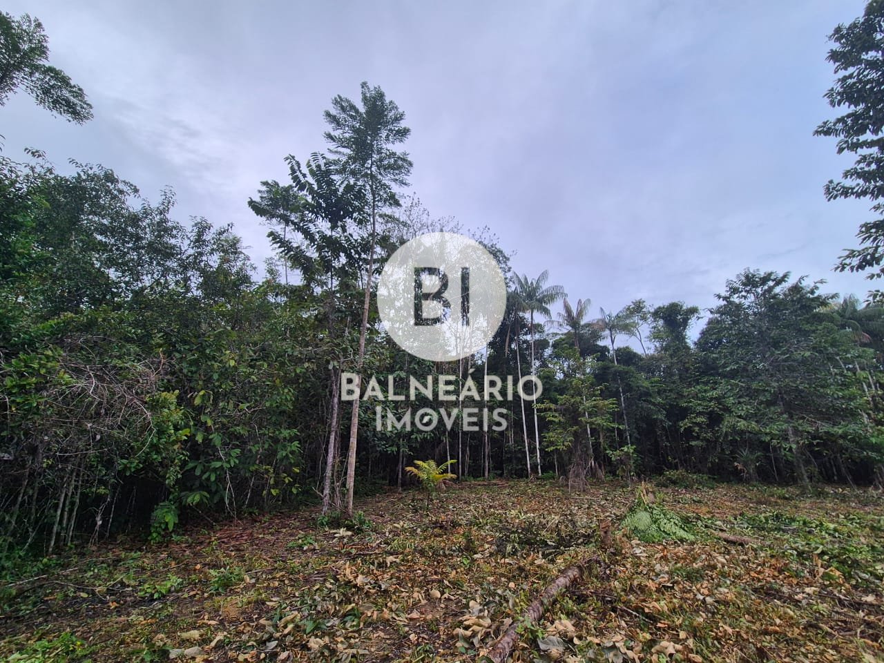 Sítio, 2 quartos - Foto 19