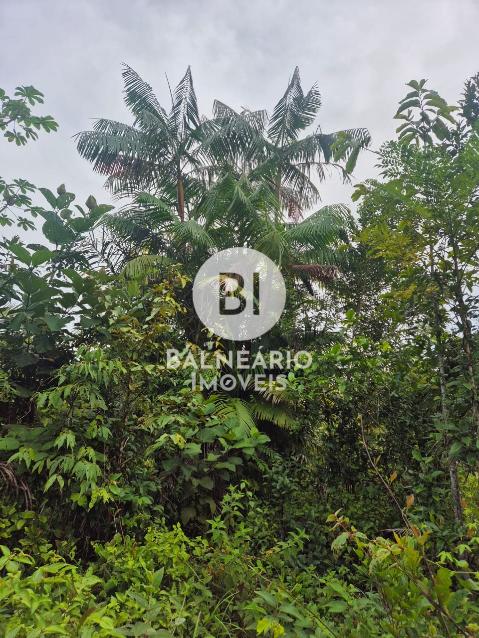 Sítio, 2 quartos - Foto 23