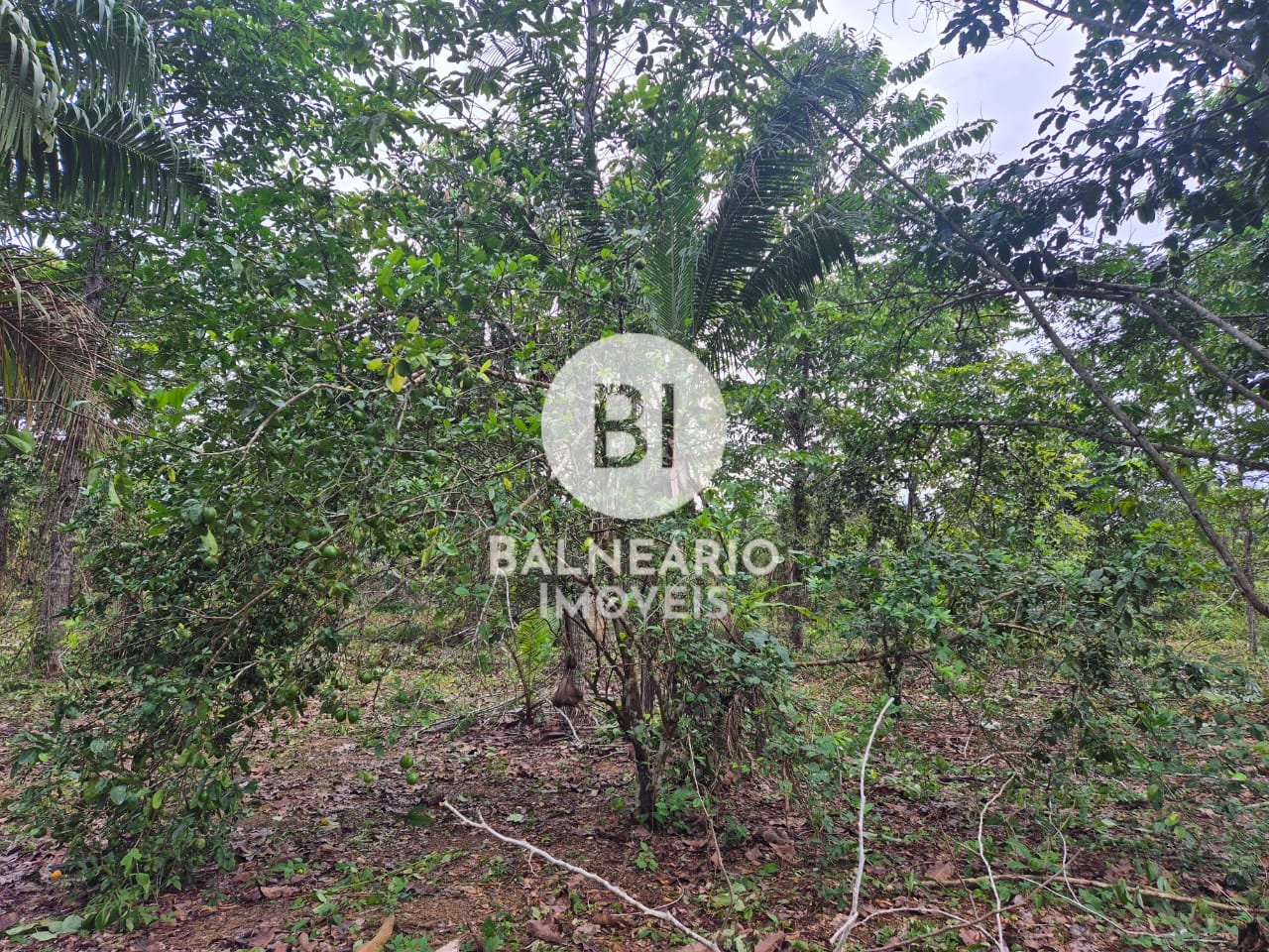 Sítio, 2 quartos - Foto 29