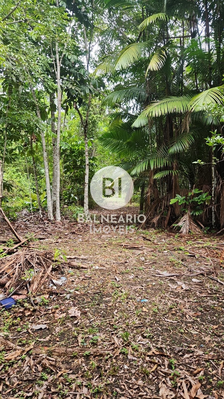 Sítio, 2 quartos - Foto 45