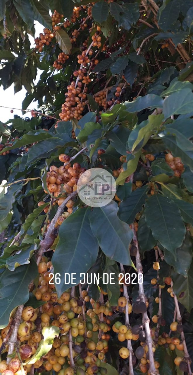 Fazenda, 1 quarto - Foto 8