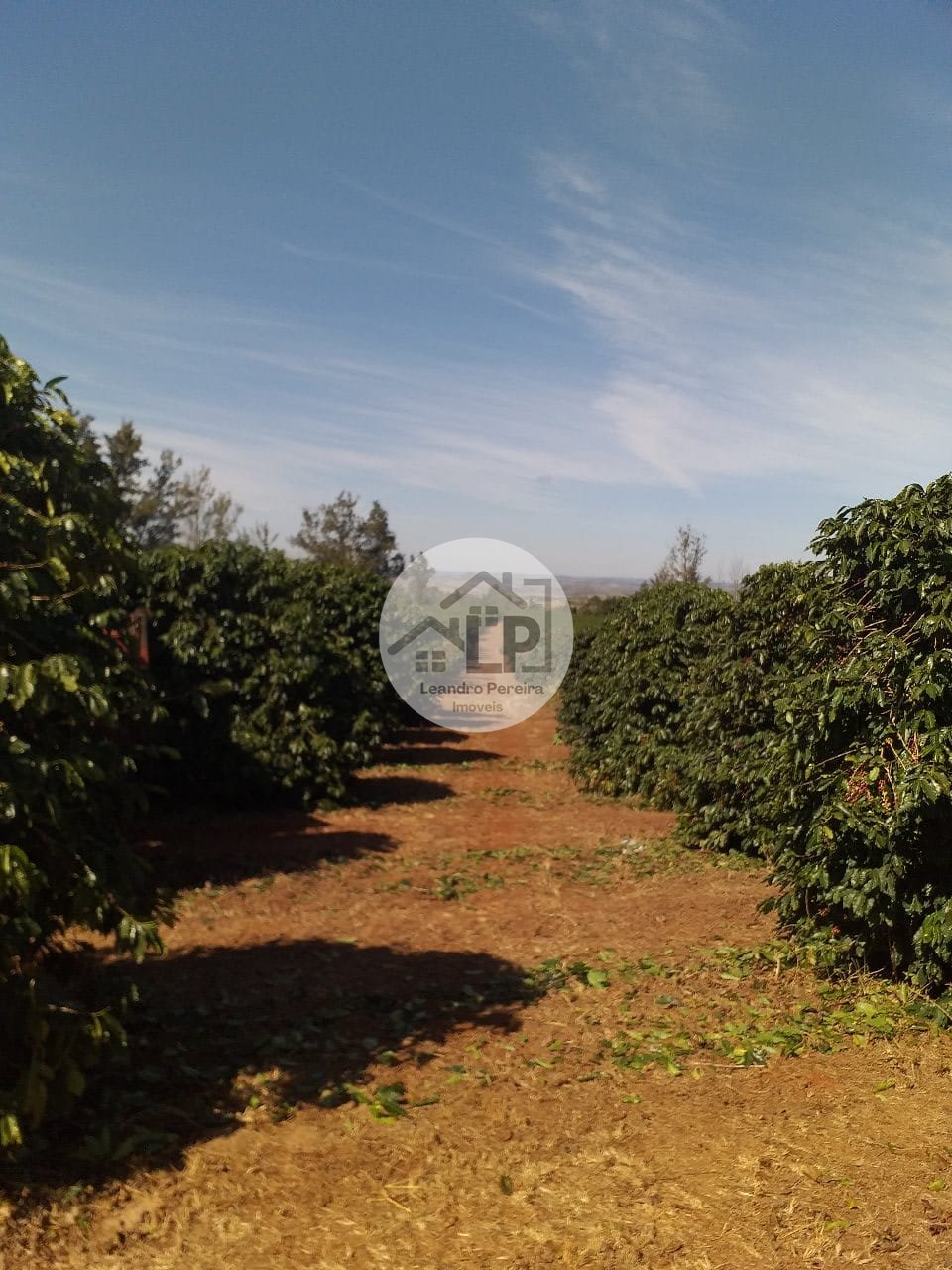 Fazenda, 1 quarto - Foto 2