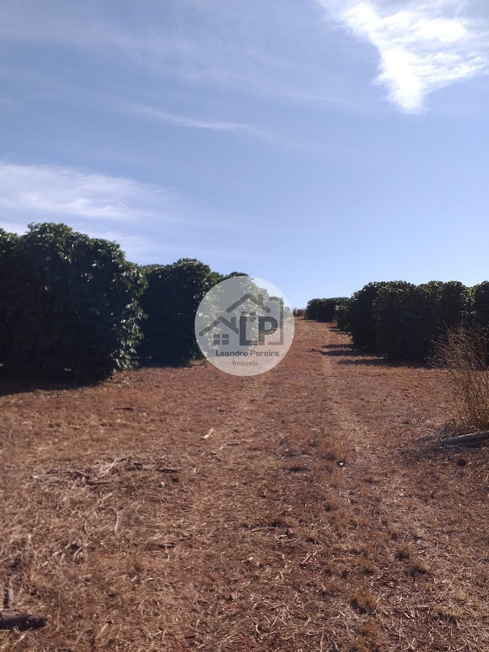 Fazenda, 1 quarto - Foto 3