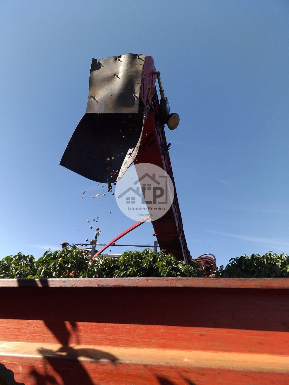 Fazenda, 1 quarto - Foto 9