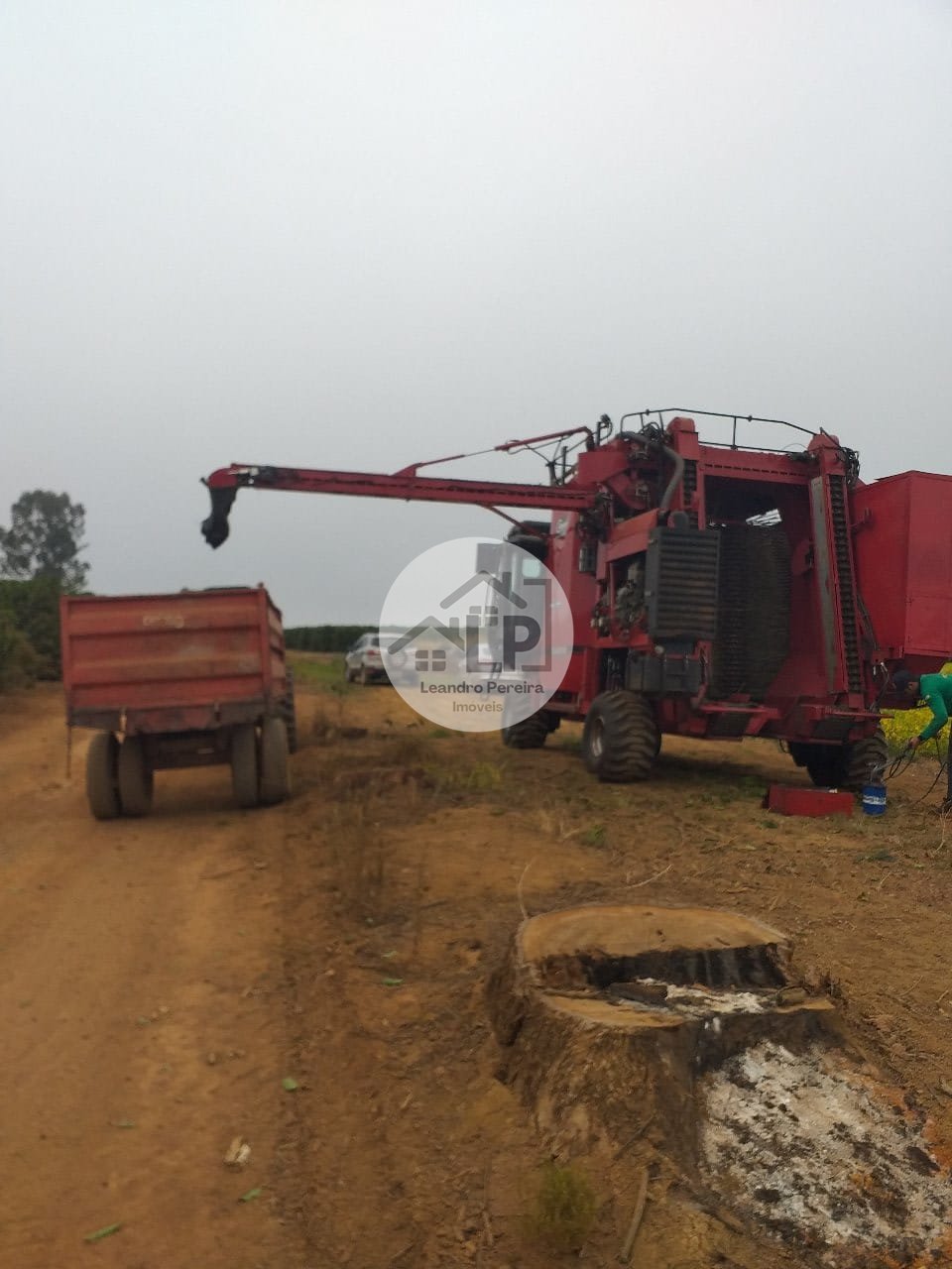 Fazenda, 1 quarto - Foto 15