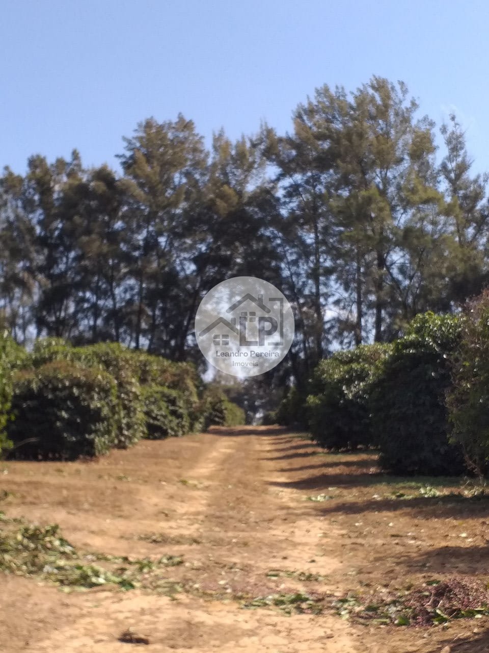 Fazenda, 1 quarto - Foto 18