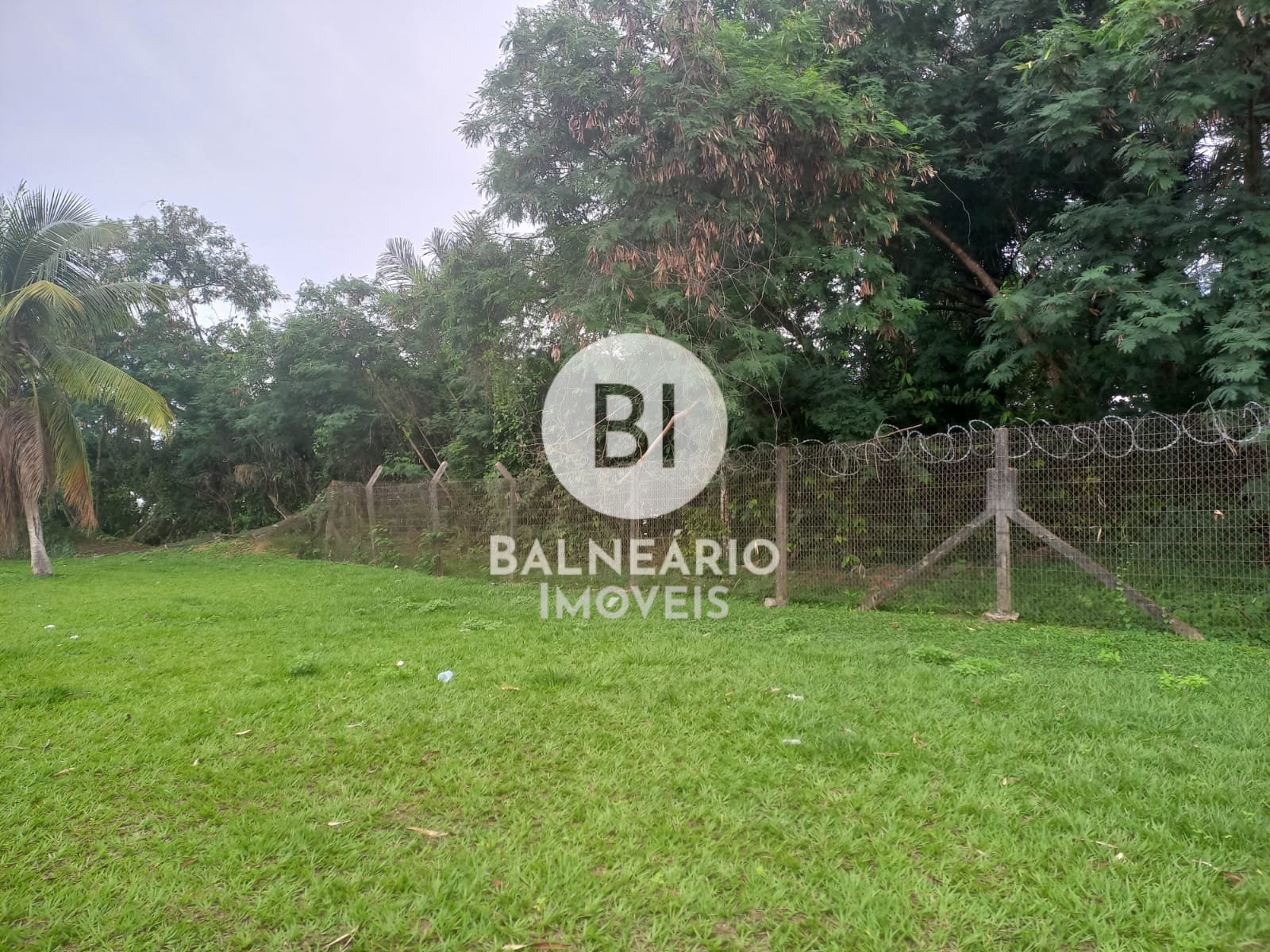 Terreno, 10000 m² - Foto 1