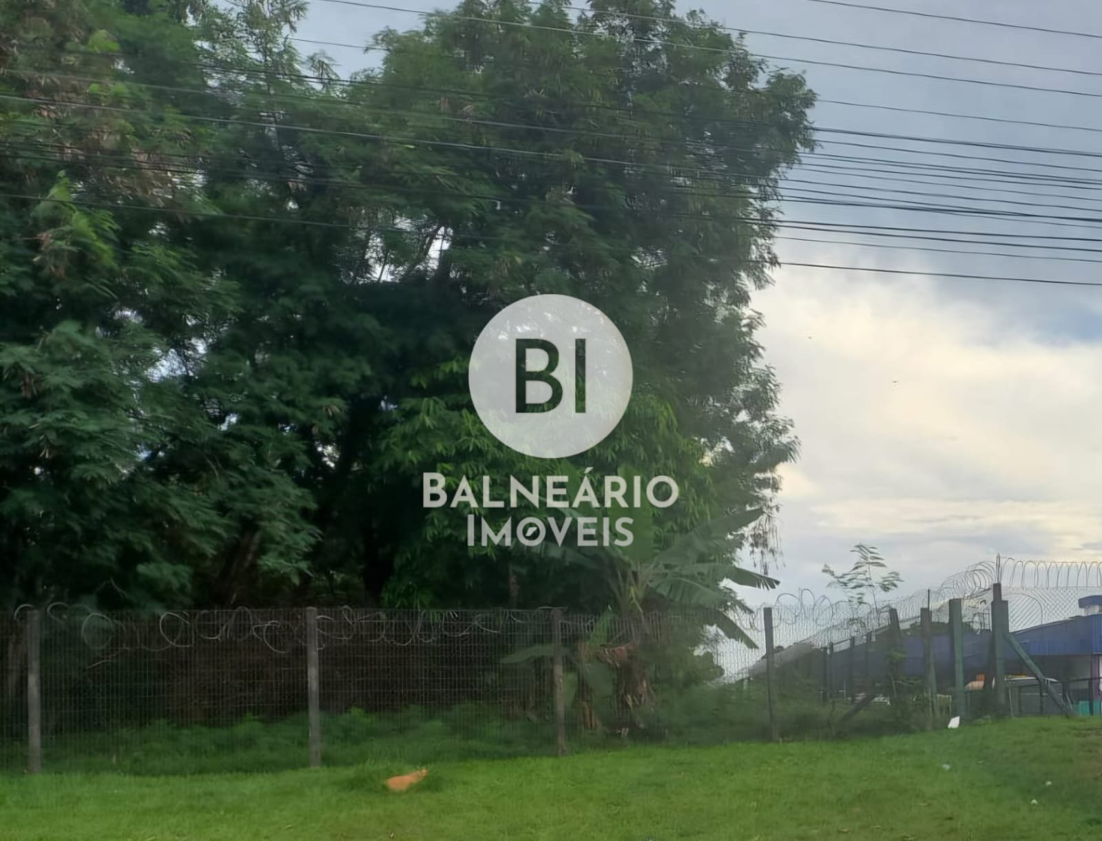 Terreno, 10000 m² - Foto 5