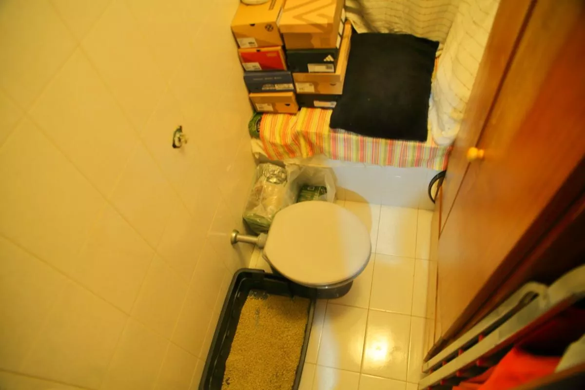 Casa, 3 quartos, 229 m² - Foto 29