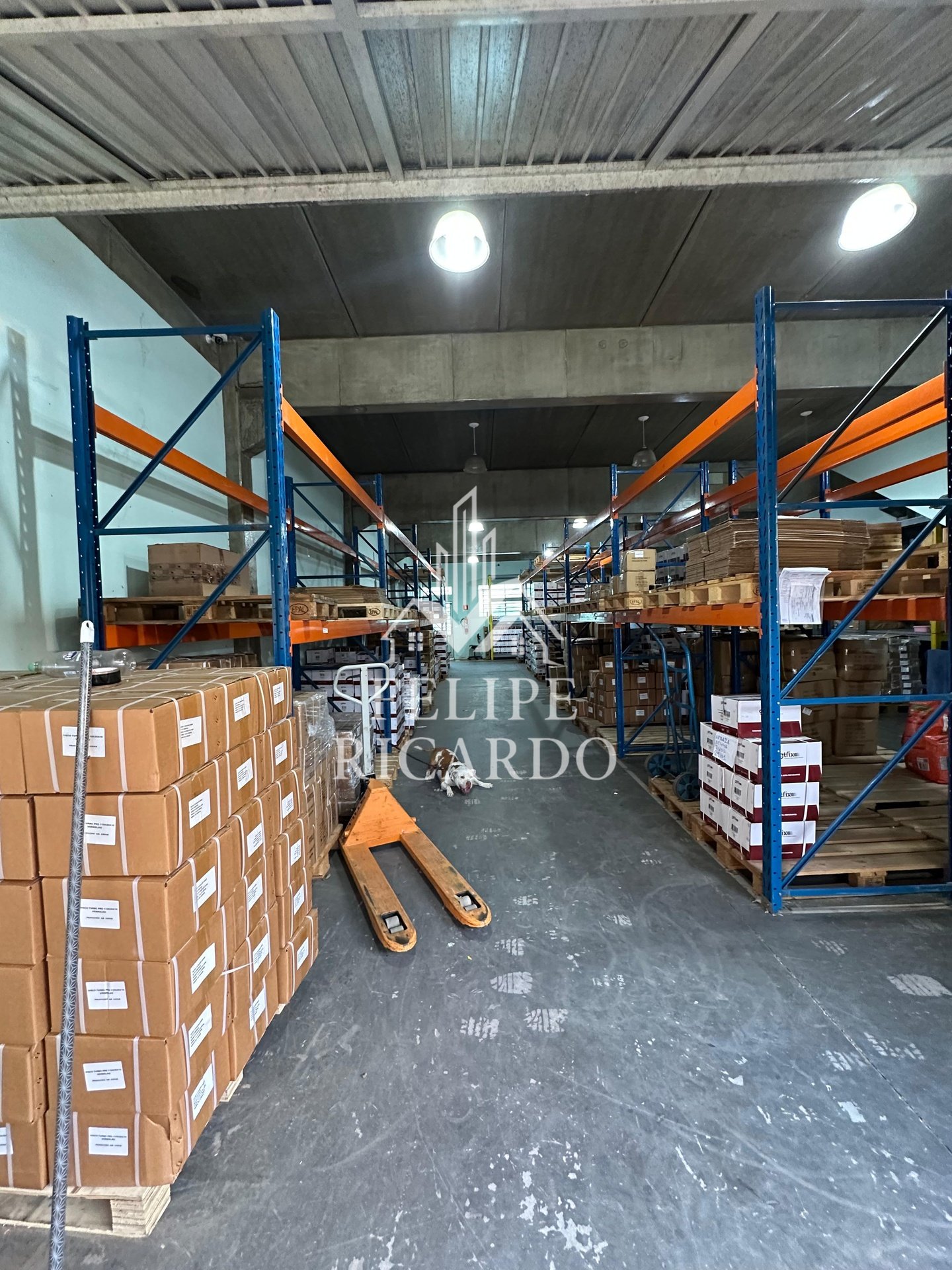 Depósito-Galpão-Armazém à venda, 380m² - Foto 7