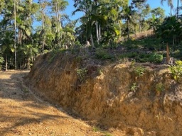 Lote/Terreno de 72000m² no bairro Rio Branco, em Brusque | Eu Corretor