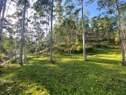 Lote/Terreno de no bairro Dom Joaquim, em Brusque | Eu Corretor