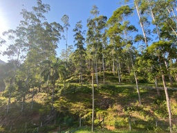 Lote/Terreno de no bairro Dom Joaquim, em Brusque | Eu Corretor