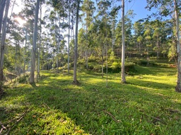 Lote/Terreno de no bairro Dom Joaquim, em Brusque | Eu Corretor