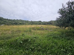 Fazenda/Sítios/Chácaras de no bairro Área Rural de Vacaria, em Vacaria | Eu Corretor