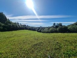 Chácara de 20000m² no bairro Mauá, em Vacaria | Eu Corretor