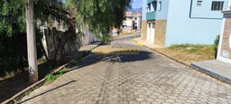 Lote/Terreno de 200m² no bairro Vila Mariana , em Cambuí | Eu Corretor