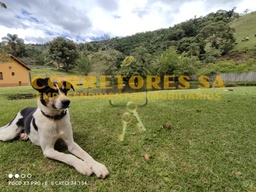 Fazenda/Sítios/Chácaras de 6 quartos, 500m² no bairro MG 295, em Cambuí | Eu Corretor