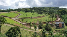 Lote/Terreno de 1200m² no bairro Bateias de baixo, em Campo Alegre | Eu Corretor