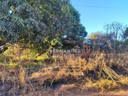 Fazenda/Sítios/Chácaras de 5000m² no bairro Setor Central, em Ouro Verde de Goiás | Eu Corretor