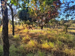 Fazenda/Sítios/Chácaras de 5000m² no bairro Setor Central, em Ouro Verde de Goiás | Eu Corretor