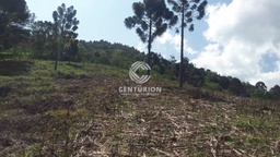 Lote/Terreno de 3 quartos, 120000m² no bairro Distrito de Nova Petrópolis, em Joaçaba | Eu Corretor