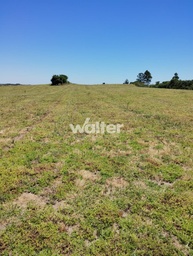 Fazenda/Sítios/Chácaras de 500000m² no bairro Zona Rural, em Caçapava do Sul | Eu Corretor