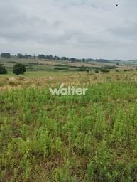 Fazenda/Sítios/Chácaras de 500000m² no bairro Zona Rural, em Caçapava do Sul | Eu Corretor