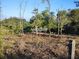 Lote/Terreno de 2000m² no bairro Alpes do Vale, em Novo Hamburgo | Eu Corretor