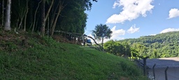 Lote/Terreno de 600m² no bairro Fenavinho, em Bento Gonçalves | Eu Corretor