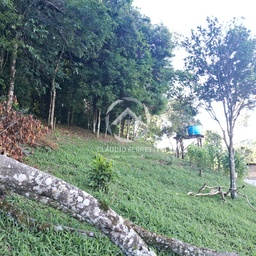 Lote/Terreno de 600m² no bairro Fenavinho, em Bento Gonçalves | Eu Corretor