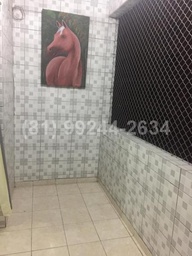 Apartamento de 3 quartos, 74m² no bairro Ilha do Retiro, em Recife | Eu Corretor