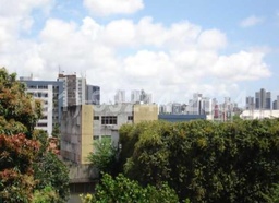 Apartamento de 3 quartos, 74m² no bairro Ilha do Retiro, em Recife | Eu Corretor