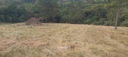 Lote/Terreno de 20280m² no bairro Maracanã, em Jarinu | Eu Corretor