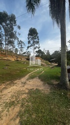 Lote/Terreno de 41160m² no bairro MOURA, em Canelinha | Eu Corretor