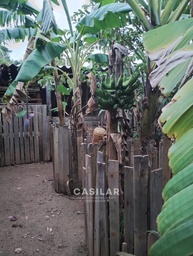 Chácara de 1 quarto, 180m² no bairro Recanto Silvana, em Jarinu | Eu Corretor