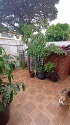Casa de 3 quartos, no bairro Jardim Universitário, em Londrina | Eu Corretor