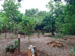 Lote/Terreno de 5000m² no bairro Acquaville, em Londrina | Eu Corretor