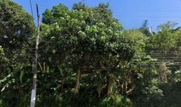 Lote/Terreno de no bairro Demarchi, em São Bernardo do Campo | Eu Corretor
